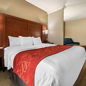 King Suite Mobility accessible